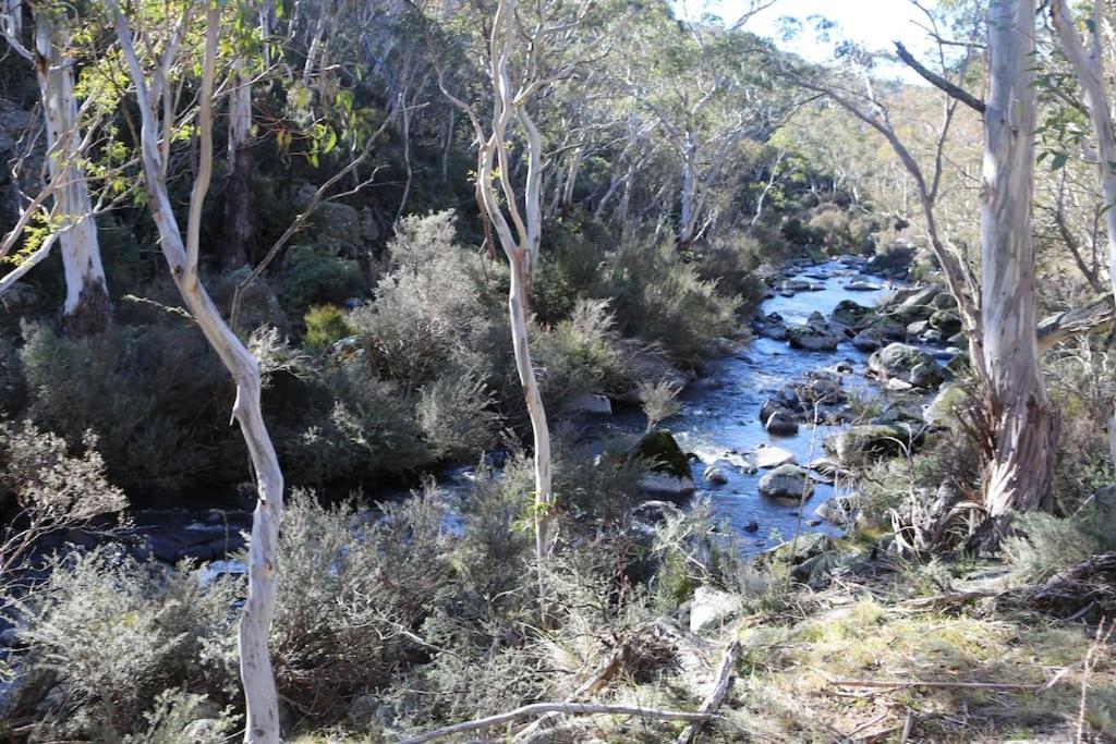 Big Yard Escapes - Two Off-Grid Tiny Houses On The Mowamba River Jindabyne Bagian luar foto