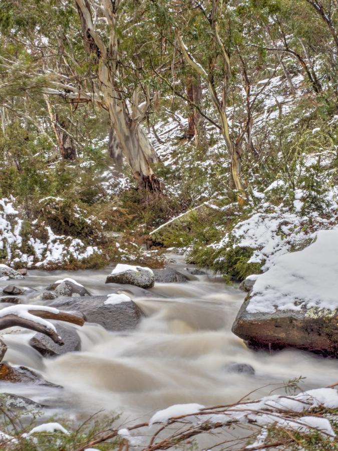 Big Yard Escapes - Two Off-Grid Tiny Houses On The Mowamba River Jindabyne Bagian luar foto