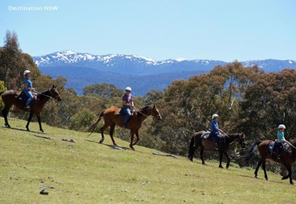 Big Yard Escapes - Two Off-Grid Tiny Houses On The Mowamba River Jindabyne Bagian luar foto