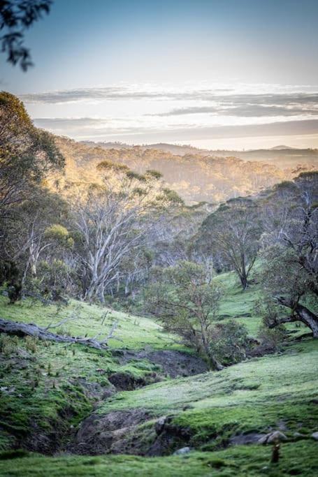 Big Yard Escapes - Two Off-Grid Tiny Houses On The Mowamba River Jindabyne Bagian luar foto