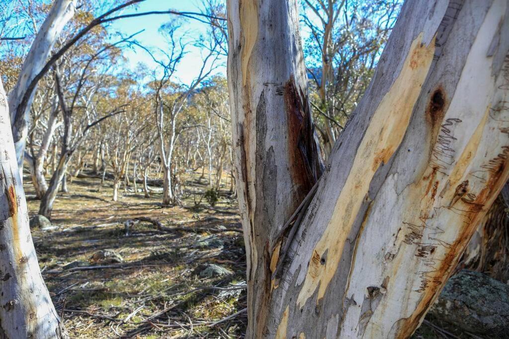 Big Yard Escapes - Two Off-Grid Tiny Houses On The Mowamba River Jindabyne Bagian luar foto