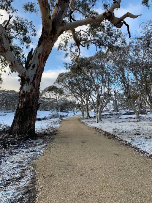 Big Yard Escapes - Two Off-Grid Tiny Houses On The Mowamba River Jindabyne Bagian luar foto