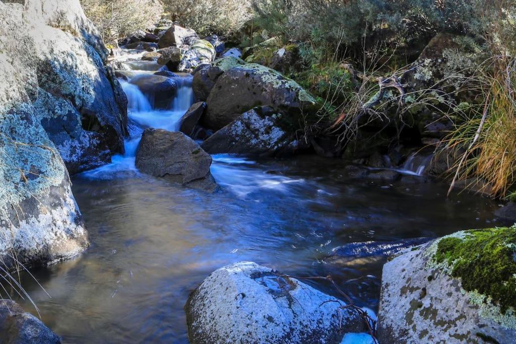 Big Yard Escapes - Two Off-Grid Tiny Houses On The Mowamba River Jindabyne Bagian luar foto