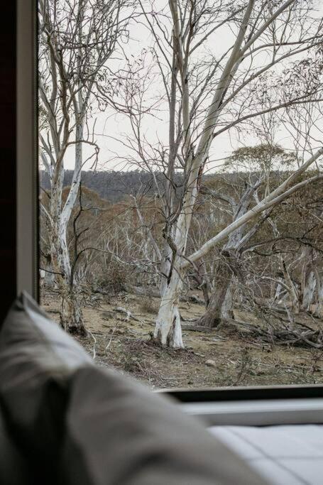 Big Yard Escapes - Two Off-Grid Tiny Houses On The Mowamba River Jindabyne Bagian luar foto