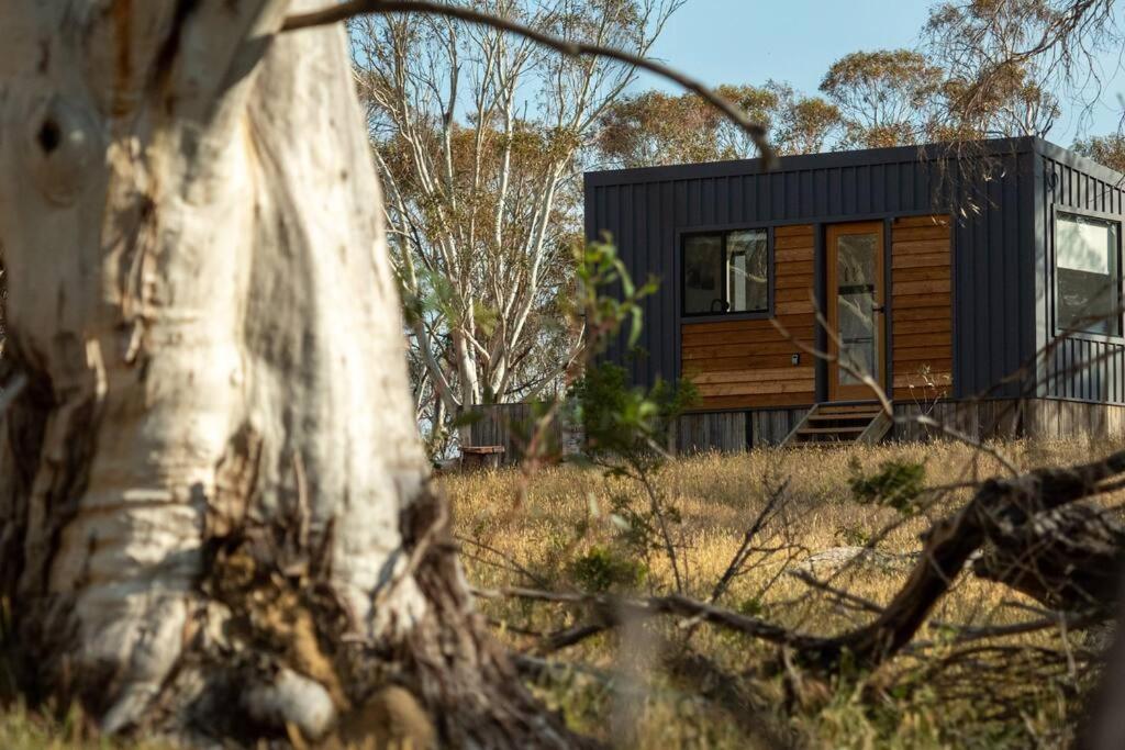 Big Yard Escapes - Two Off-Grid Tiny Houses On The Mowamba River Jindabyne Bagian luar foto