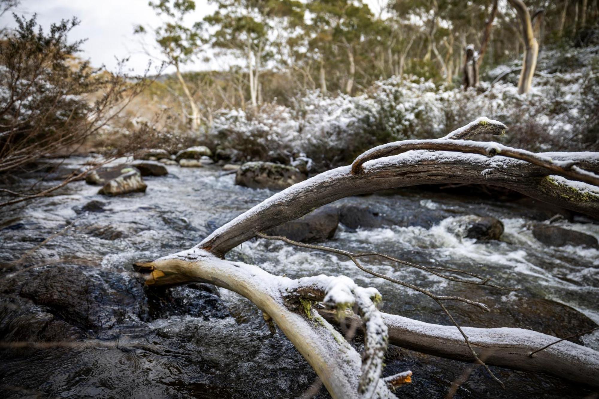 Big Yard Escapes - Two Off-Grid Tiny Houses On The Mowamba River Jindabyne Bagian luar foto